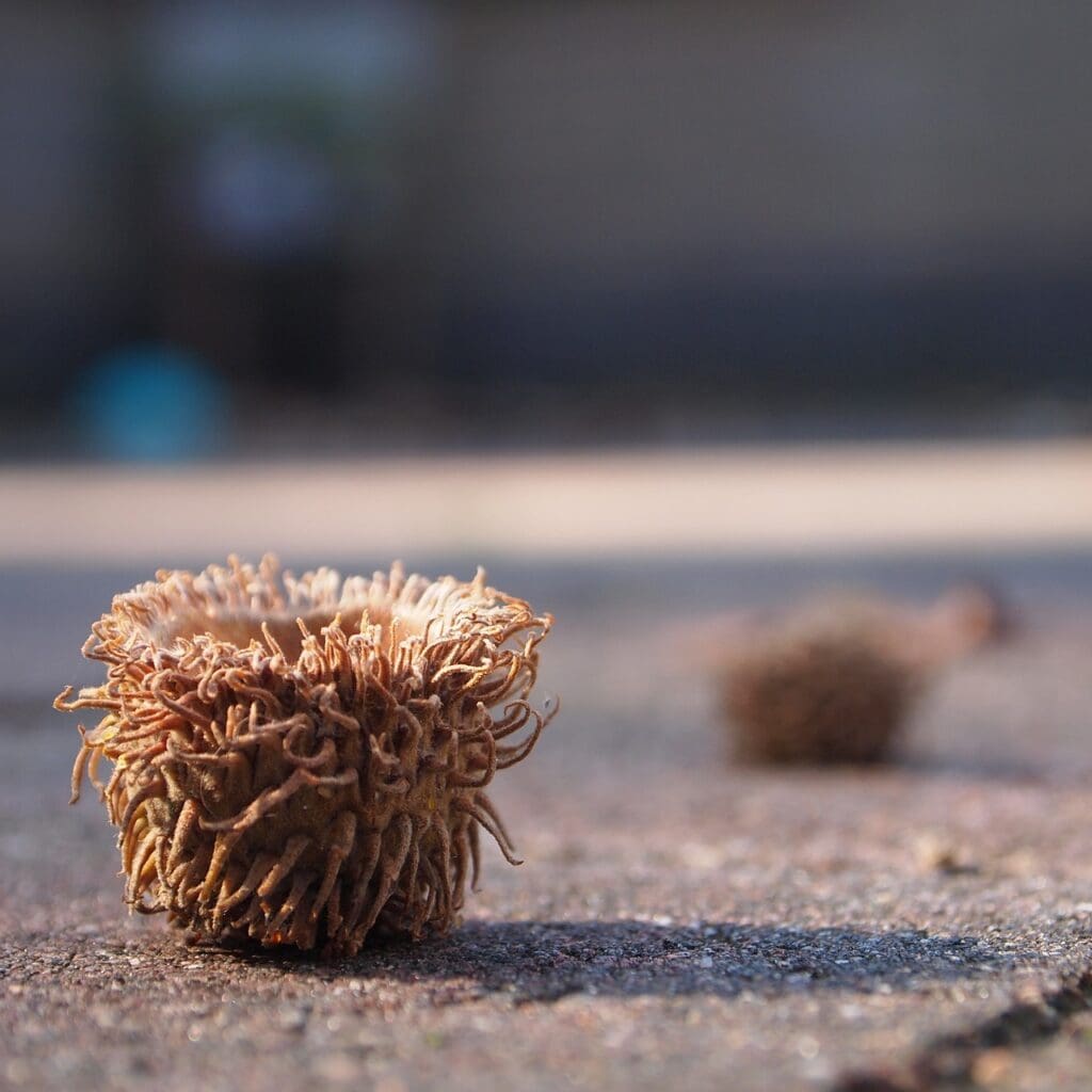10 Easy Jerk Tofu Dinner Recipes 10 Easy Jerk Tofu Dinner Recipes