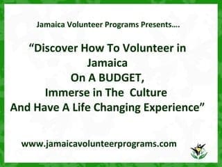 How To Volunteer At A Jamaican Festival